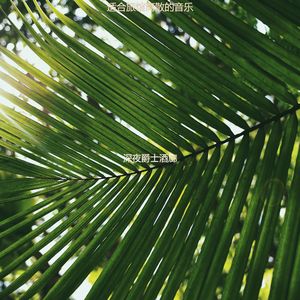 适合旅馆完美音乐