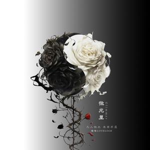 时间轴 (Timeline)