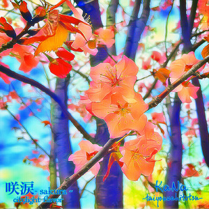 咲涙 - sakura - (citylight flavor)