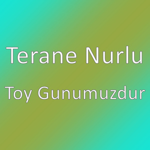Toy Gunumuzdur