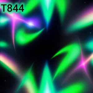 T844
