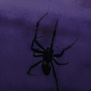 sadness and hatred 2