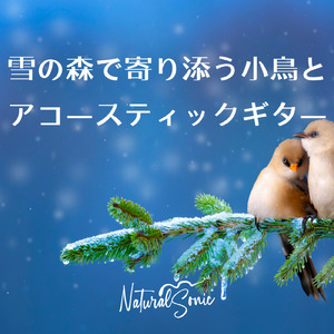 Winter Birds’ Serenade
