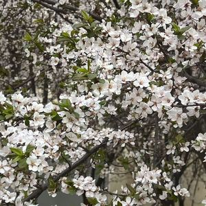 雨过天晴我们都不会一直糟糕个不停