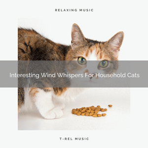 All Woods Whispers For Your Cats