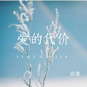 爱的代价 (合唱版)