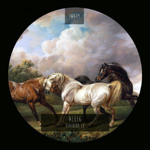 Dividido (Raul Figueroa Remix)