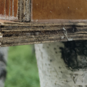 我颠颠又倒倒好比浪涛