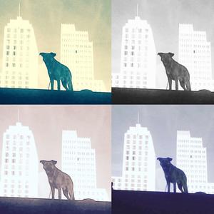 Sniffy (manic mouse mix)