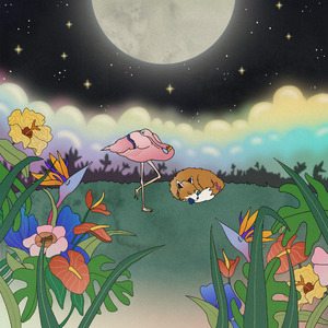 Twinkle Twinkle Little Star (Estrellita) (Piano)