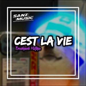 DJ B-PUNK MIXTAPE _ CEST LA VIE VIRAL TIKTOK