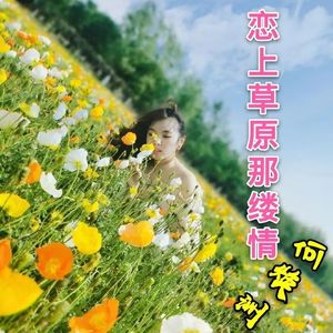 恋上草原那缕情(何焕洲原唱D)