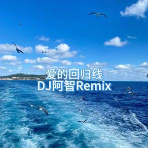 爱的回归线(DJ阿智Remix)