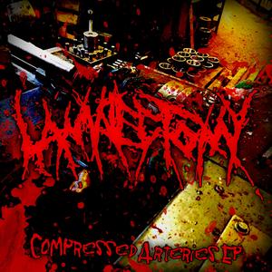 Membranoproliferative Glomerulonephritis