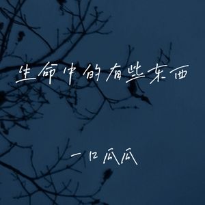 生命中的有些东西