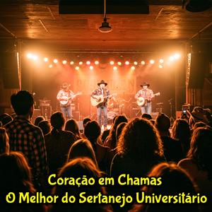O Melhor do Sertanejo Universitário, Despacito