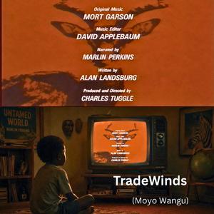 TradeWinds (Moyo Wangu)