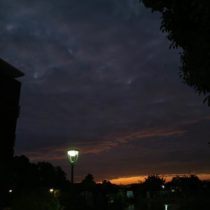 【FREE】“gone”