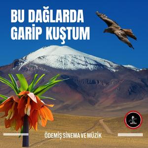BU DAĞLARDA GARİP KUŞTUM