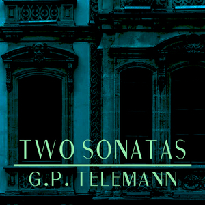 Bassoon Sonata, Twv 41_F1 (2. Allegro)