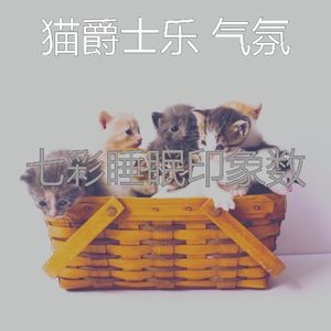 抚慰的猫在家回忆