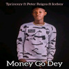 Tprincezy - Money Go Dey