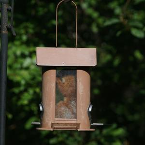 These are not the peanuts you are looking for