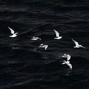 一年半（Prod.No Birthday）