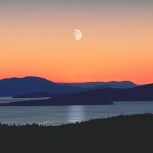 君は悪魔か少女になって