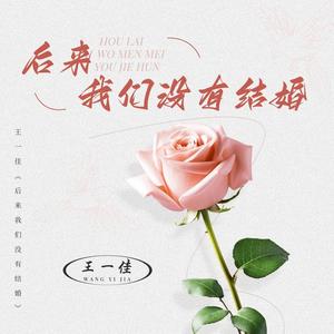 后来我们没有结婚