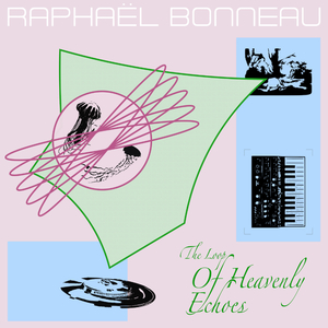 The Land of the Space Jellyfish