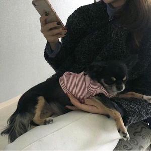 可以在爱我一遍吗