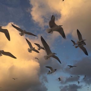 "力" 21 Savage x 孟菲斯 Type Beat