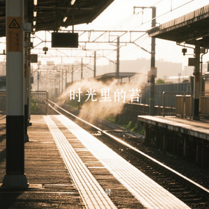 时光里的苔
