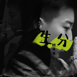 生分 (DJ版)