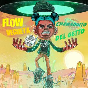 Flow vegueta
