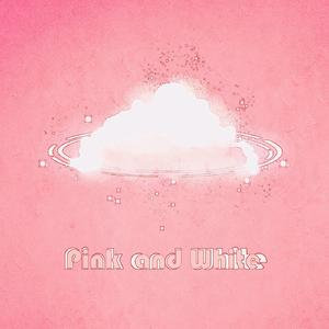 粉百合与白玫瑰