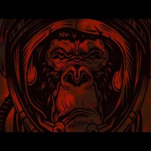 Apes
