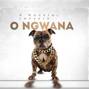 Remake (Bacardi) (Radio edit)