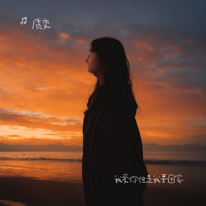 我爱你但是我要回家（热播版）