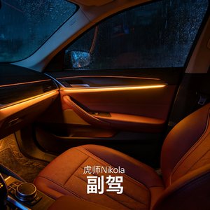 副驾_2026