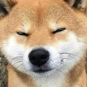 《背井离乡的苦涩》