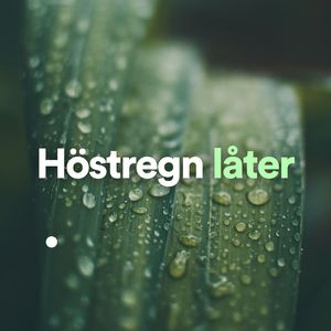 Regn låter för att sova, Pt. 12