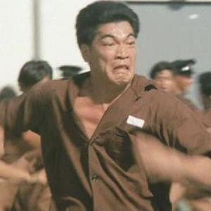 SWIN-鸡你太美（王天野 remix）