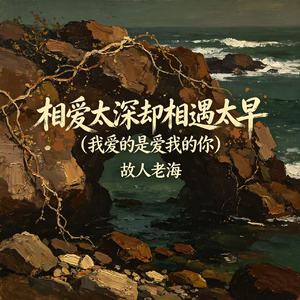 相爱太深却相遇太早（我爱的是爱我的你）