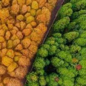 远走他乡-整曲 伴奏