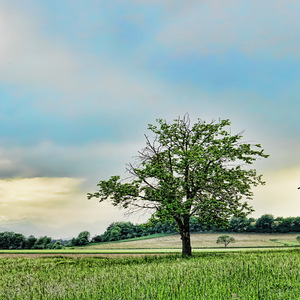 숙면과 휴식의 음악
