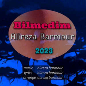 Bilmedim