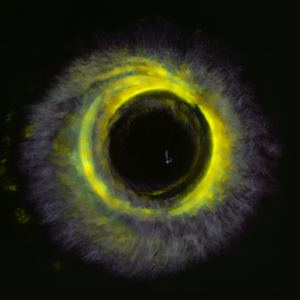 Spirit House (Acoustic Mix)