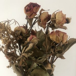 半醒半醉又离又及(prod by 洪汝超)